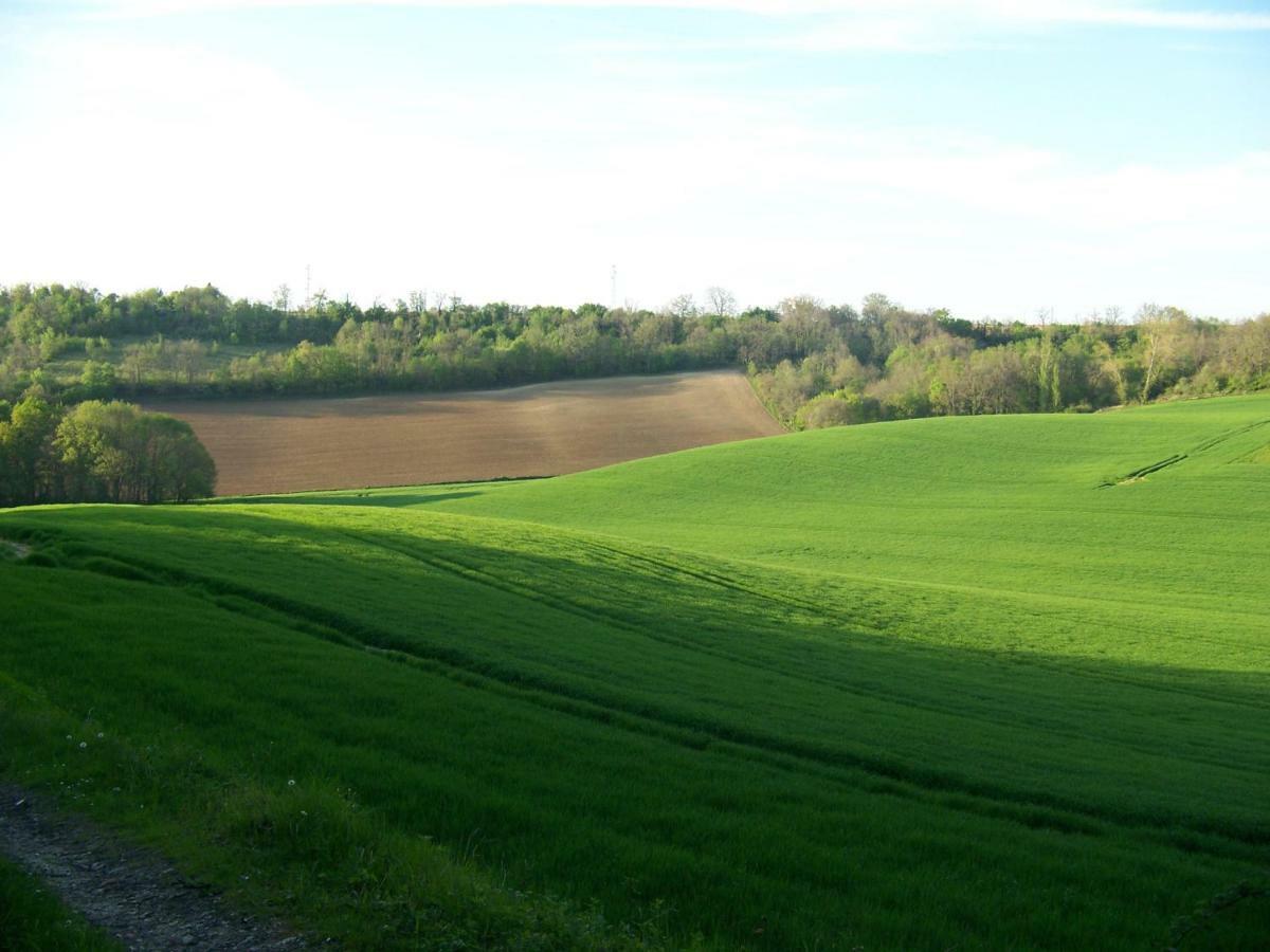 Saint-Pierre-de-Clairac Loustalneou B&B 외부 사진